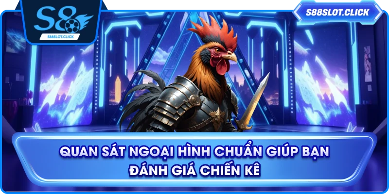 Quan sát ngoại hình chuẩn giúp bạn đánh giá chiến kê